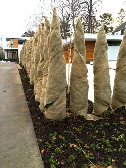 burlap wrap