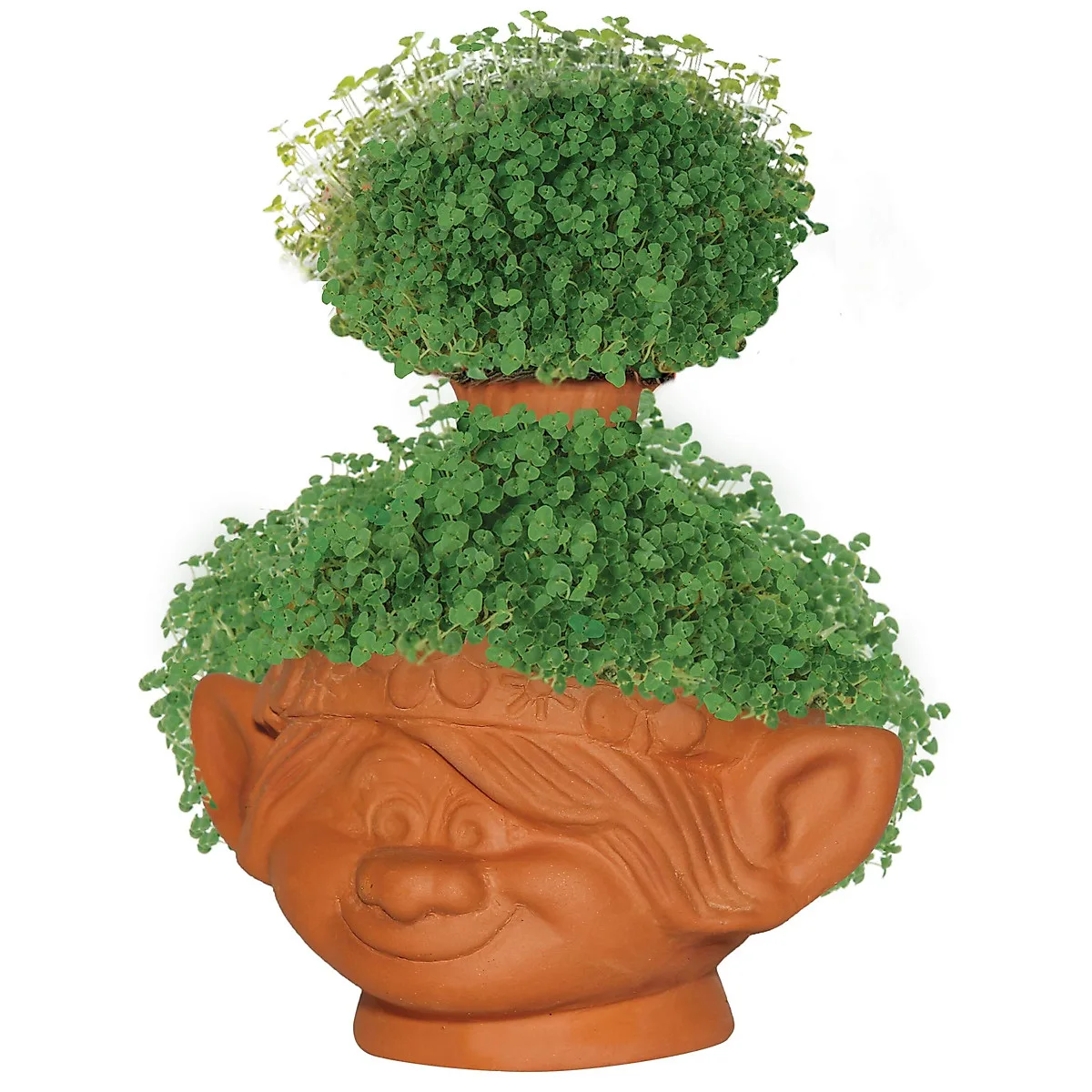 chia pet safe for cats