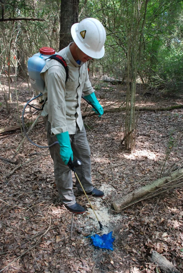 cut-stump method