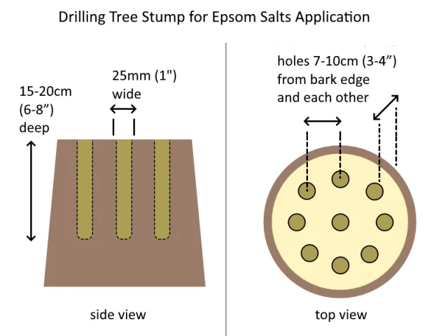 drill-and-fill method