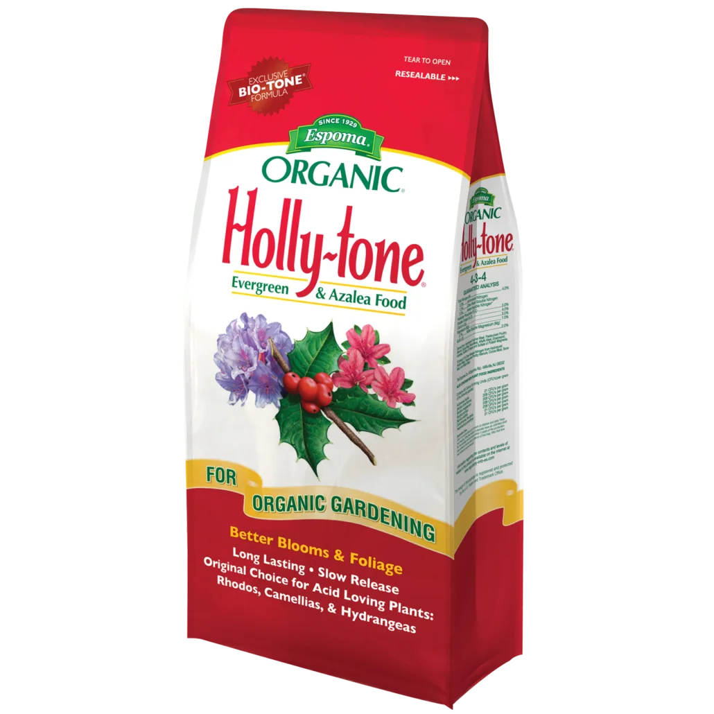 Granular organic Holly-tone acid plant food scattered evenly around the base of a blooming blue hydrangea shrub