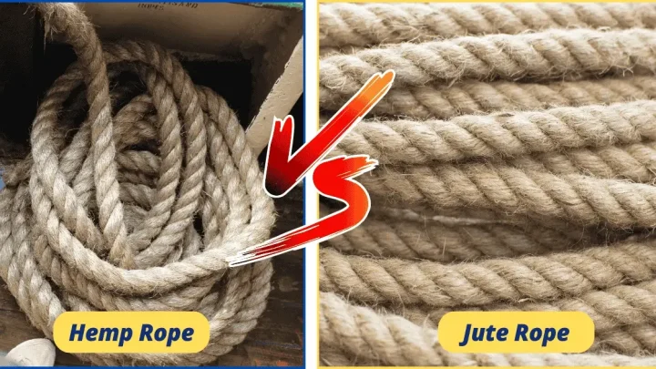Hemp Rope vs Jute Rope: Which One Should You Choose?