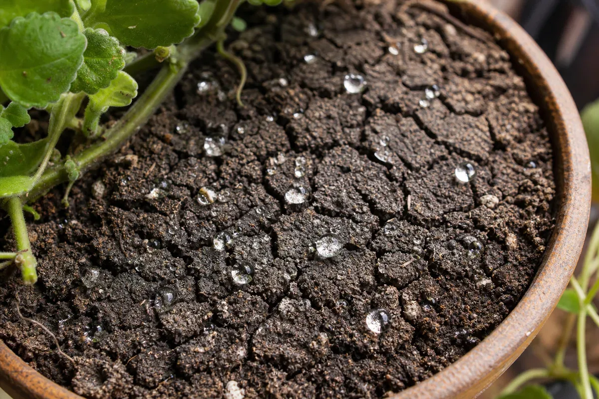 hydrophobic soil