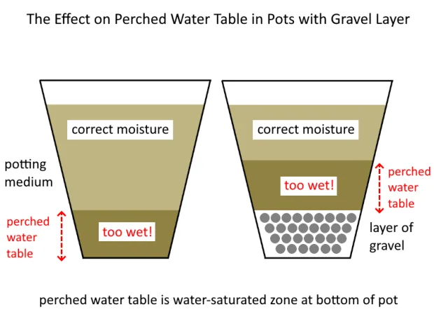 perched water table