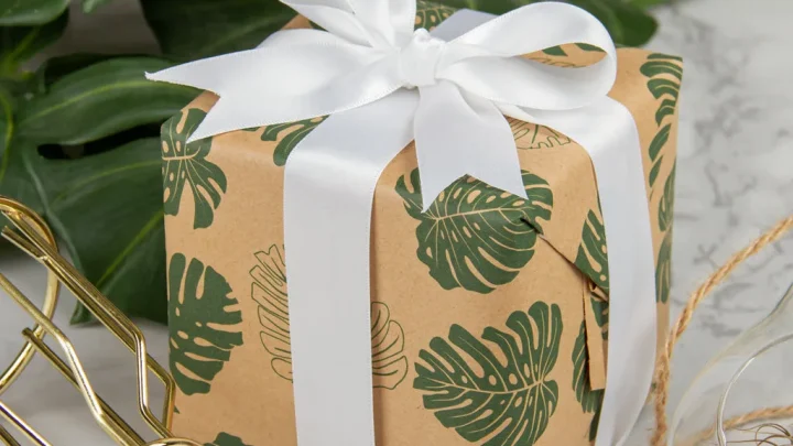 Creative Potted Plant Gift Wrapping Ideas to Try