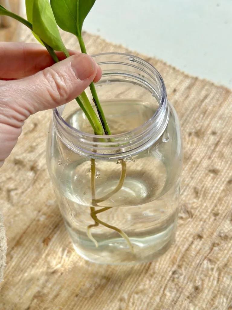 water propagation